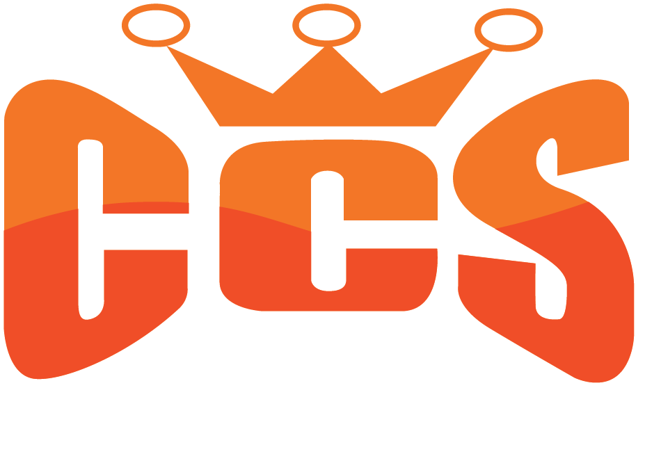 C.C.S. FUTURE SYSTEMS CO., LTD.